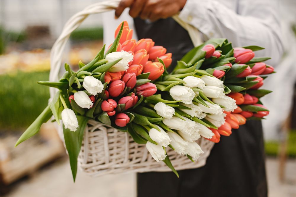 Har du brug for smukke og friske blomster? Så brug denne blomsterbutik på Østerbro